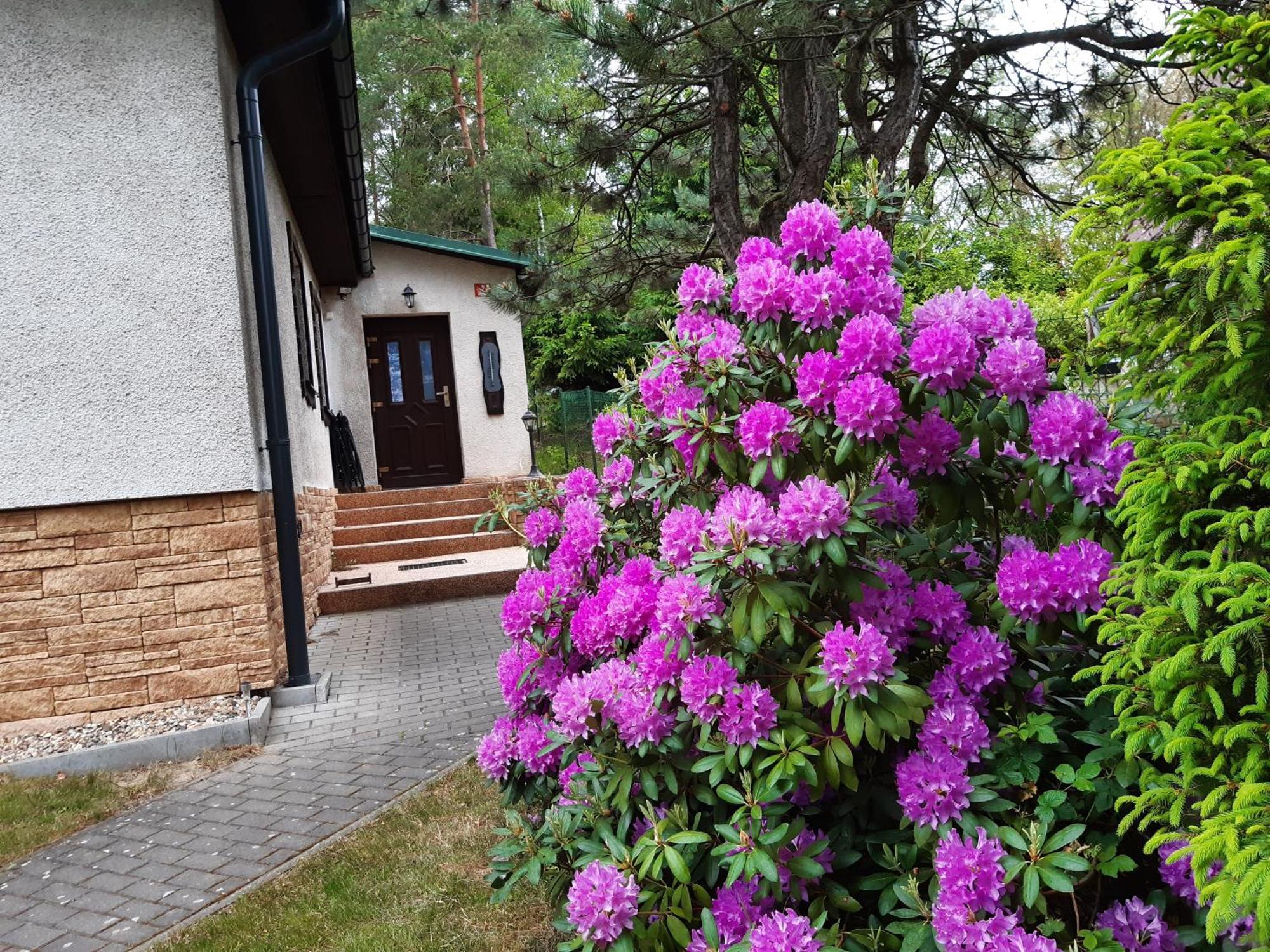 Chata Rynartice 7 Jetřichovice 외부 사진